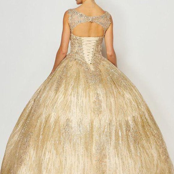 Scoop Neck Ballgown Shape Prom Dress JT1429 - Picture 3 of 7